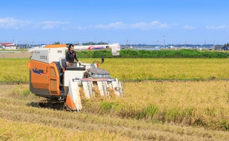 【花の米】越後かに米こしひかり 白米5kg