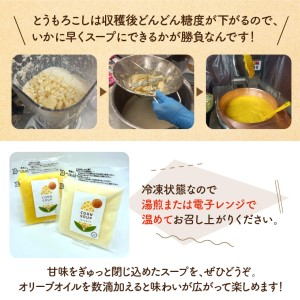 はるきちオーガニックファームのスープ10個セット