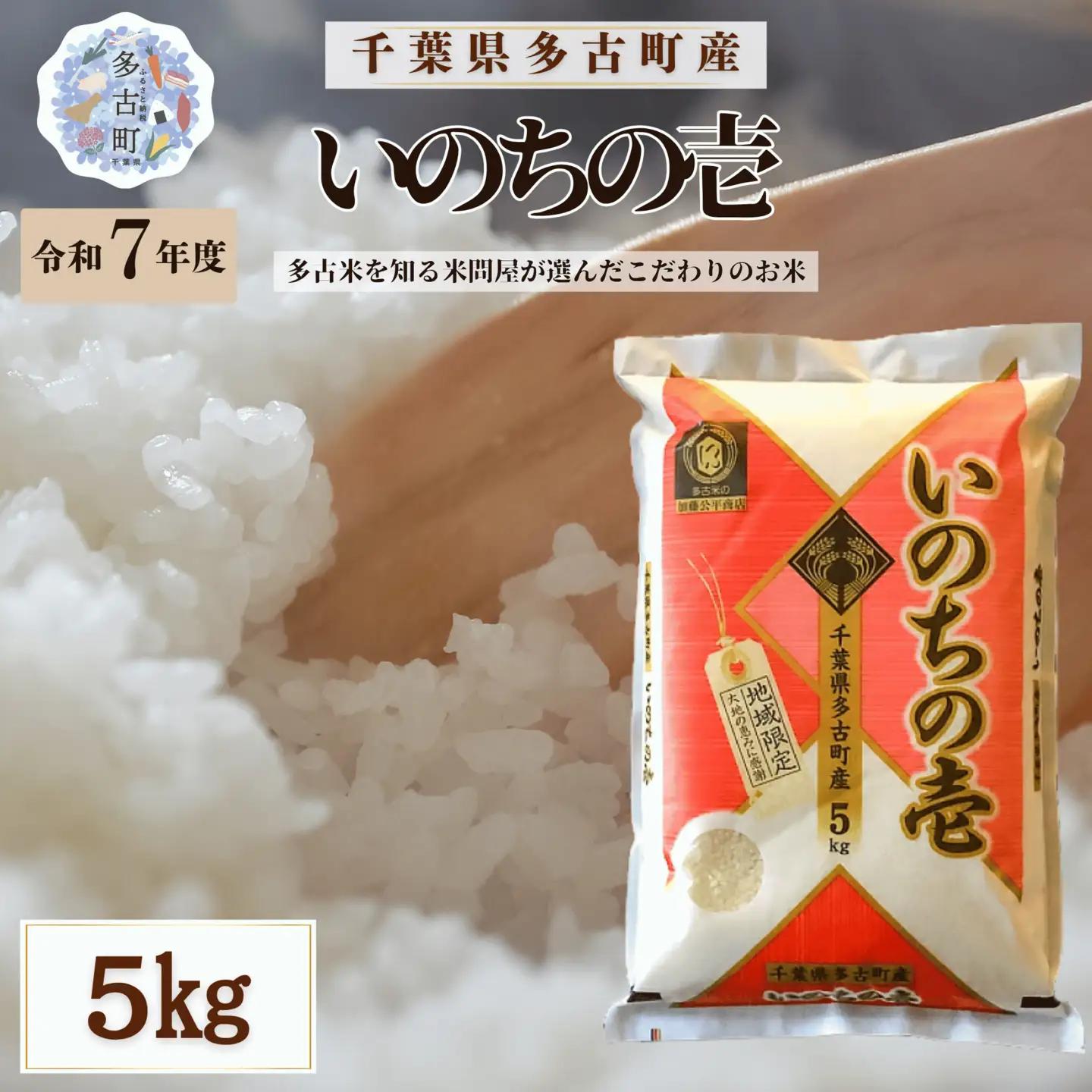 【令和7年産】多古町産いのちの壱 精米5kg_ 精米 米 _【配送不可地域：離島・沖縄県】 MT207674_040501