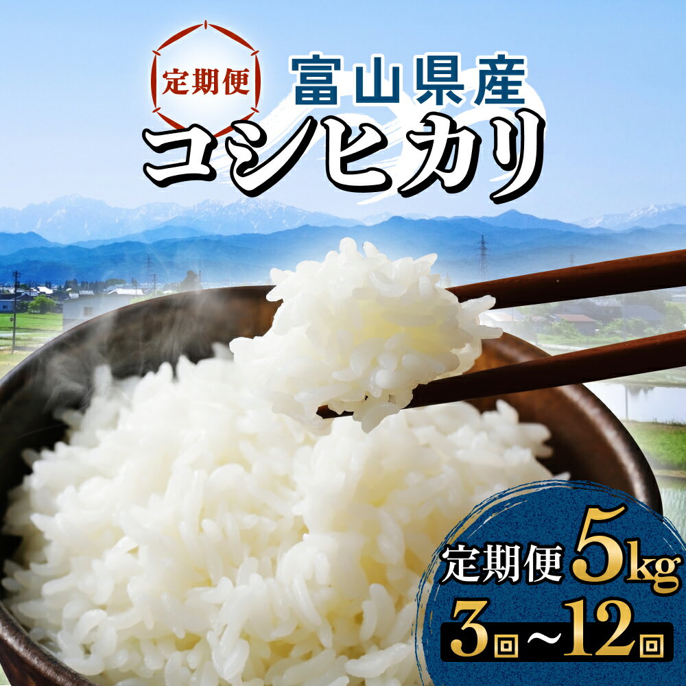 【ふるさと納税】 【3回 - 12回 定期便】富山県産 コシヒカリ 5kg