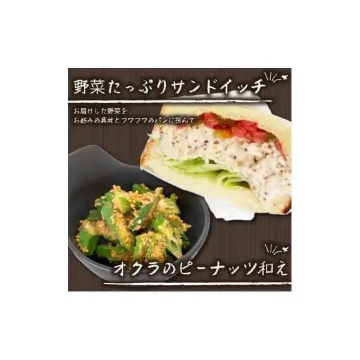 【 野菜 】 野菜セット 6～8品