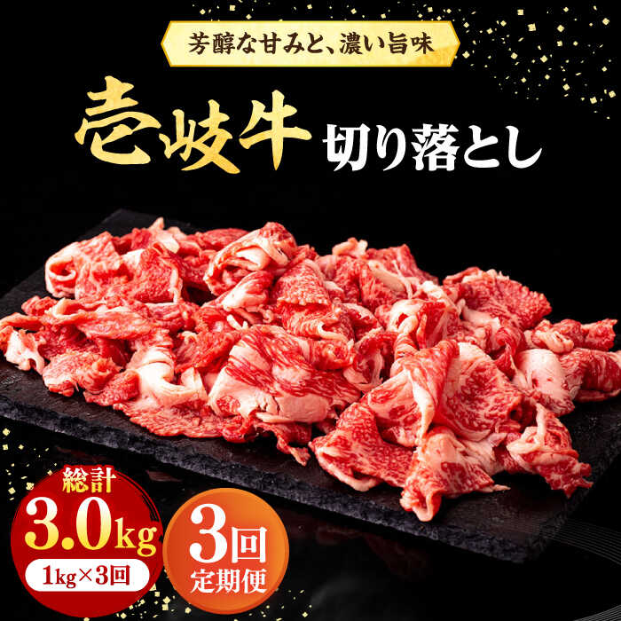 【ふるさと納税】【全3回定期便】 壱岐牛 切り落とし 1kg《壱岐市》【株式会社イチヤマ】[JFE021] 冷凍配送 黒毛和牛 A5ランク 定期便 赤身 肉 牛肉 切落し 牛丼 煮物 煮込み 煮込み料理 すき焼き しゃぶしゃぶ 108000 108000円 すき焼用 しゃぶしゃぶ用 切り落とし