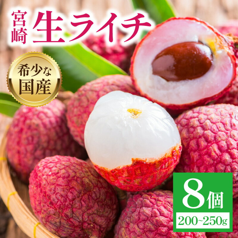 【ふるさと納税】《2026年発送 先行予約》【数量・期間限定】宮崎生ライチ ライチ 果物 フルーツ 青果物 スイーツ デザート 宮崎県産 国産 果実 国産ライチ 生ライチ トロピカルフルーツ トロピカル 南国フルーツ 旬 季節 旬のフルーツ 季節のフルーツ 旬の果物 季節の果物