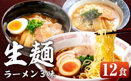 【訳あり】簡易包装 飛騨高山らーめん３味セット 12食（醤油 2食×2袋、味噌 2食×2袋、塩 2食×2袋）ラーメン【丸中製麺所】【29-5】