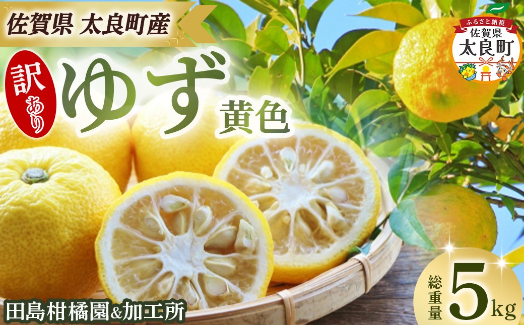 【訳あり】田島柑橘園&加工所のゆず(黄色)5kg ゆず ユズ 柚子 フルーツ 果物 柑橘 黄色 果皮 果汁 ゆずごしょう 柚子胡椒 スイーツ デザート アレンジ 柚子風呂 ゆず風呂 佐賀県 太良町 NA31