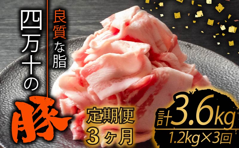 【定期便3回】四万十ポークスライス 計3.6kg（1.2kg×3ヶ月連続お届け) 2Eコース | 豚肉 豚バラ肉 小分け 小間切れ スライス 切り落とし 冷凍 真空パック 簡単調理 細切れ 大容量 肉 高知県 須崎市 TM33000