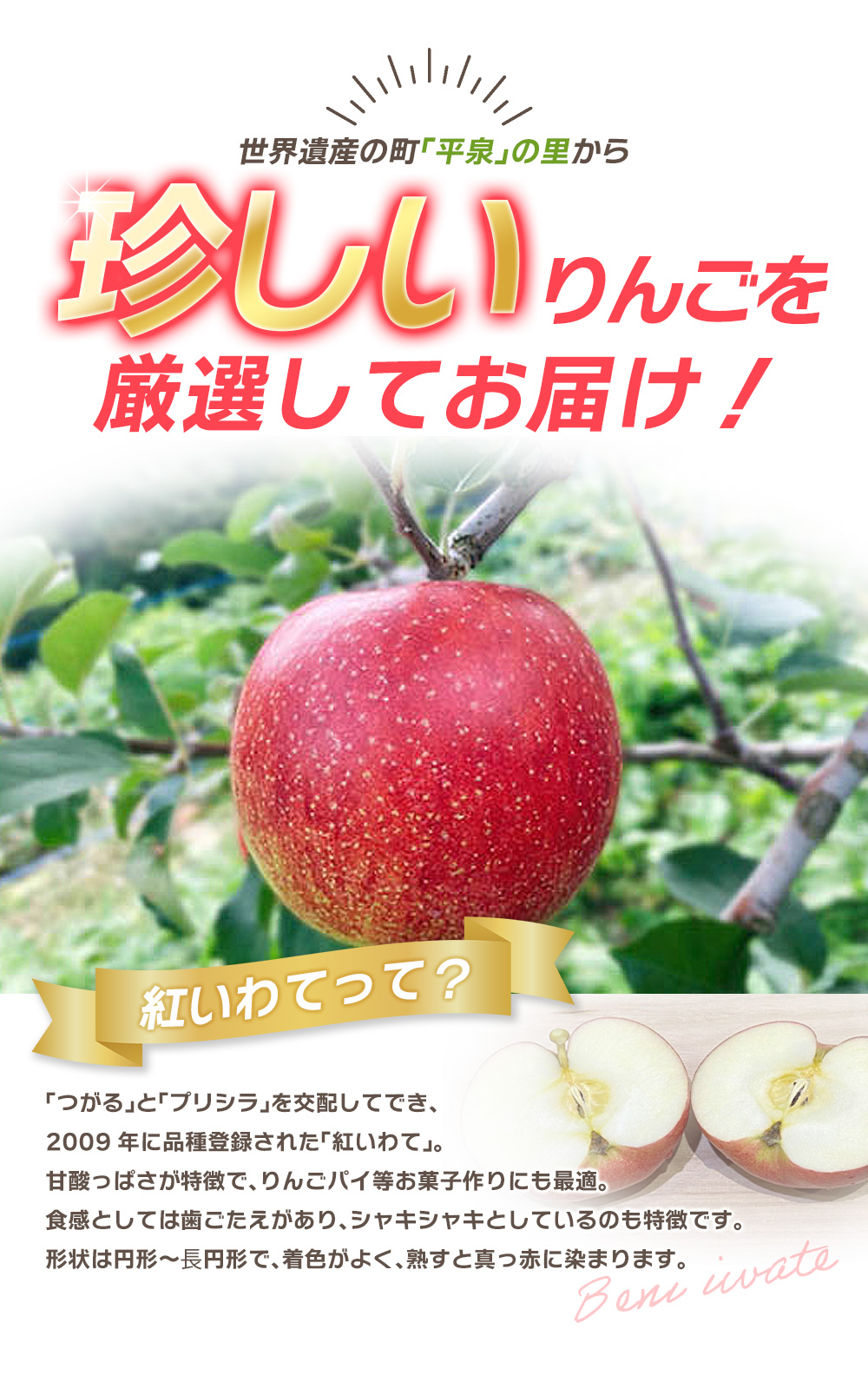 【令和6年度分予約受付】大文字りんご園 紅いわて 約3kg(7～10玉)【2024年9月20日頃～9月末にお届け】/ りんご リンゴ 林檎 果物 くだもの フルーツ 甘い 旬 産地直送 予約 先行予約