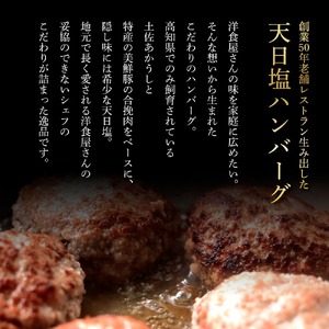 食べ比べ！完全天日塩仕込みハンバーグ3種各3個セット 完全天日塩 特製デミグラス 黄金しょうがソース付き