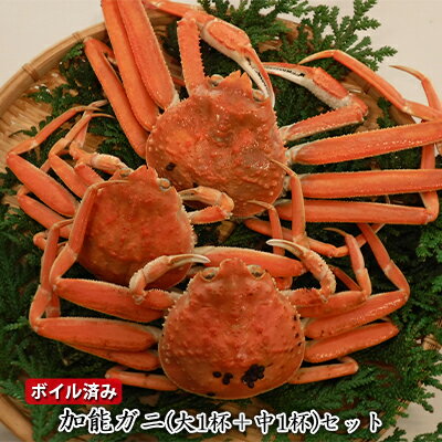 【ふるさと納税】【納品日指定不可】加能ガニ（大1杯+中1杯）セット　ボイル済み　お届け：水揚げ次第順次出荷