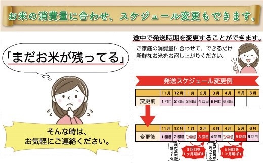 ＜令和7年産米＞ 令和8年1月中旬より配送開始 雪若丸【白米】60kg定期便(10kg×6回)　鮭川村