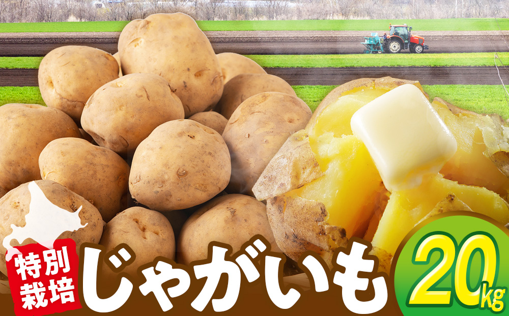 R7年産先行受付 じゃがいも 20kg 特別栽培（男爵） | ジャガイモ 芋 男爵 馬鈴薯 大容量 新鮮 野菜 煮物 カレー シチュー ポテト 保存 特産 産地直送 北海道 津別町 送料無料