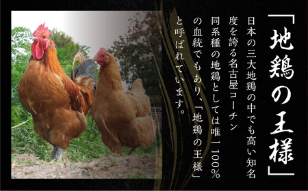 名古屋コーチン正肉セット770g ／ 鶏肉セット 鶏肉