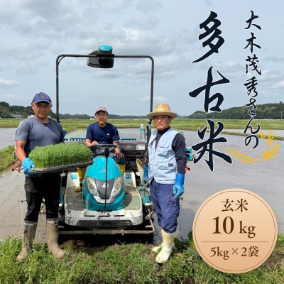 
            多古米セレクション　大木茂秀さんの多古米コシヒカリ　玄米10kg　令和7年産【1655266】
          