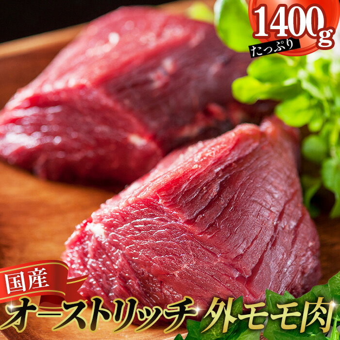 【ふるさと納税】国産オーストリッチ外モモ肉1.4kg ／ オーストリッチ肉 ダチョウ肉 赤身肉 ドラム肉 外腿肉 低脂肪 高タンパク 高栄養価 ヘルシー 臭みなし 柔らか 食べやすい タタキ しゃぶしゃぶ レアステーキ 埼玉県 特産 送料無料 No.235
