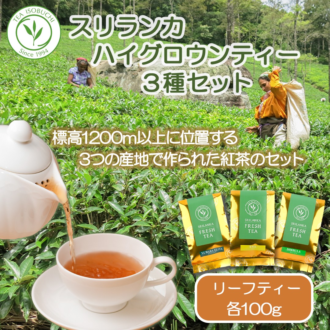 
            紅茶 茶葉 スリランカ フレッシュティー ティー  ハイグロウンティー 3種 セット 100g × 3袋 ギフト プレゼント フレッシュ お茶 紅茶セット 新鮮 香り 風味 紅茶専門店 専門店 イソブチカンパニー 神奈川 湘南 藤沢 贈り物 お土産 リーフティー ミルクティー ヌワラエリア ウバ ディンブラ
          
