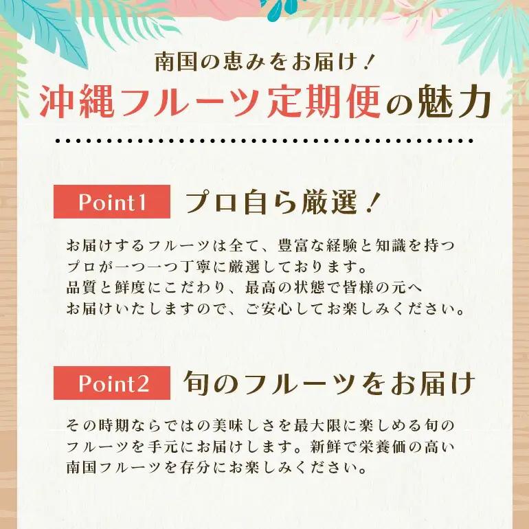 フルーツ 定期便 全 6回 名護パイン園 マンゴー バナナ パッションフルーツ ドラゴンフルーツ パイナップル 178-8