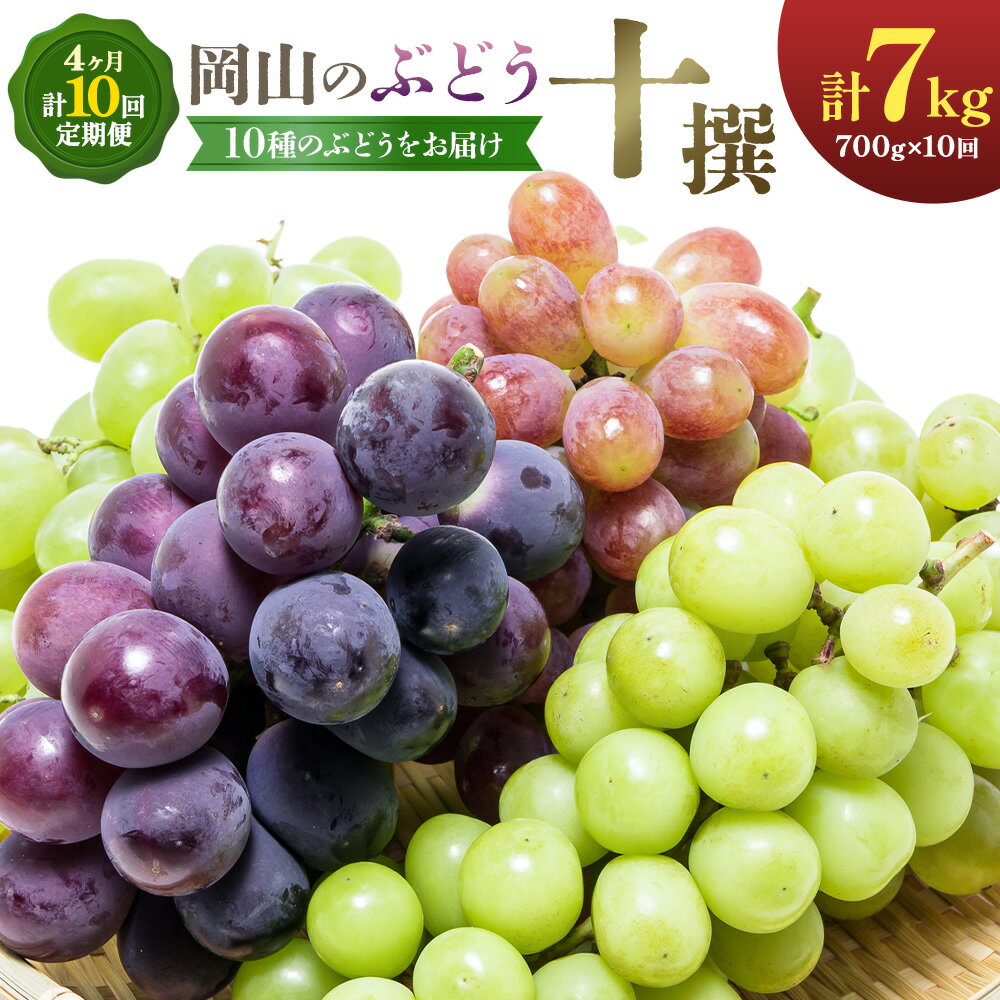 【ふるさと納税】ぶどう 4ヶ月 計10回 定期便 岡山 の ぶどう 十撰 10種 各700g 計7kg 晴れの国おかやま館(漂流岡山)《8月上旬-11月下旬頃出荷》岡山県 笠岡市 ぶどう マスカット 果物 フルーツ デザート 送料無料 【配送不可地域あり】（離島）