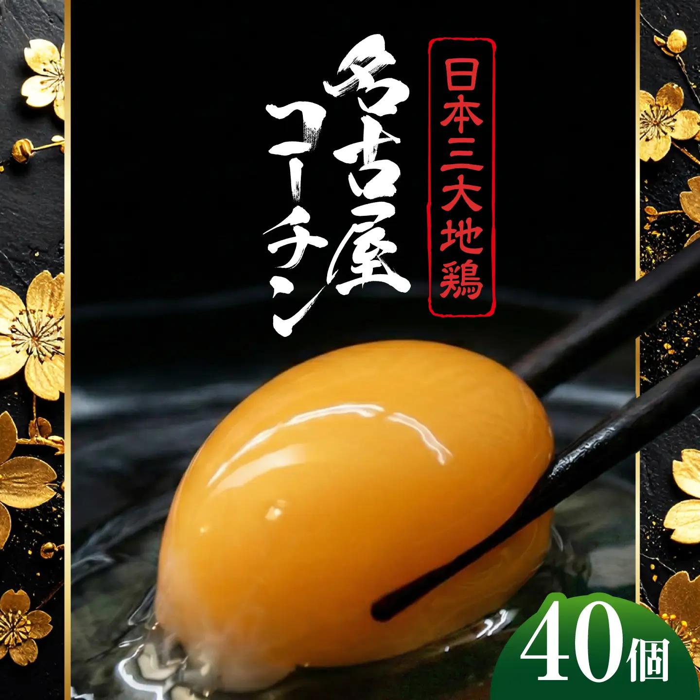 名古屋コーチン卵40個BMAY 卵 コーチン