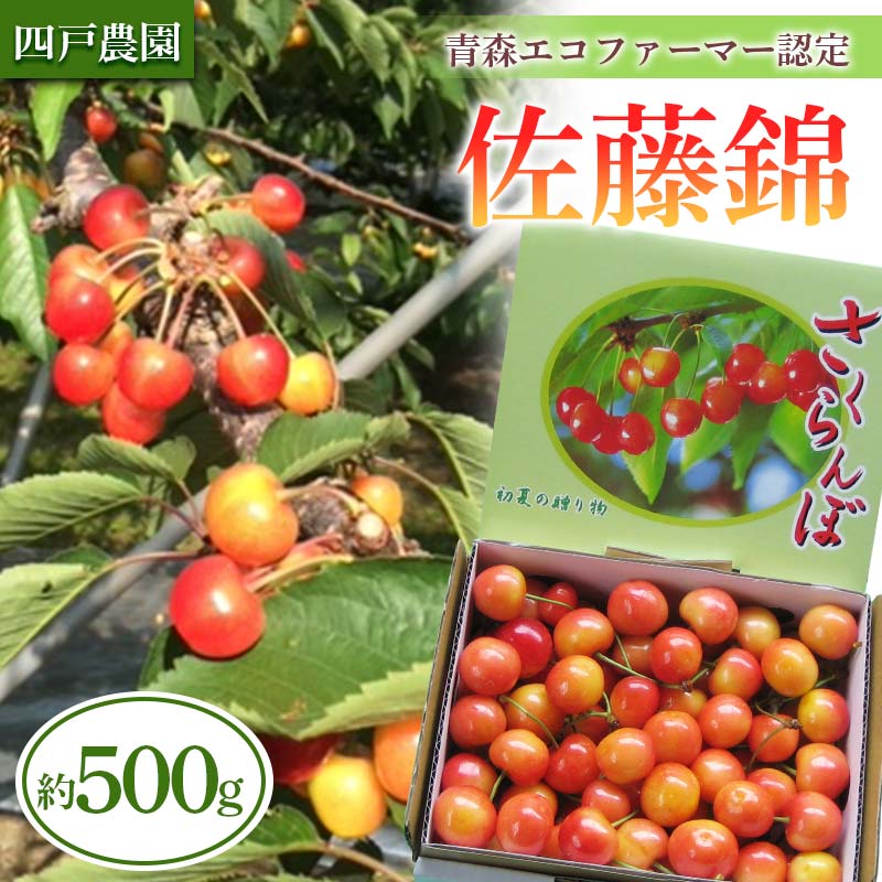 【ふるさと納税】 《農家直送》 さくらんぼ 「佐藤錦」 バラ詰め 約500g 【四戸農園】 フルーツ王国 フルーツ 旬 果物 さくらんぼ サクランボ チェリー 青森県 南部町 三戸 南部 F21U-307