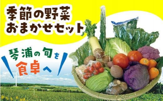 旬の野菜おまかせセット【やさい サラダ 新鮮 旬 セット 人気 おすすめ 鳥取県 琴浦町 送料無料】