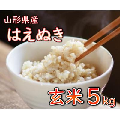 ふるさと納税 新庄市 【令和8年産】　はえぬき(玄米)5kg 山形県産