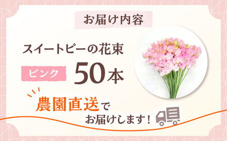 【先行予約】【生産農家直送！】スイートピー 花束 50本（ピンク）【木下農園】[IBW002]