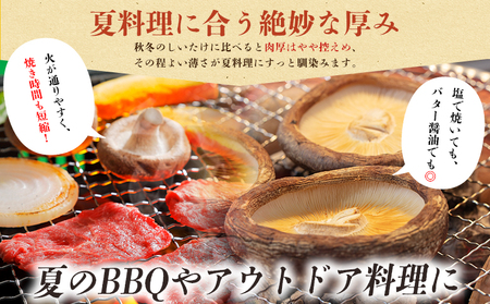 ＜夏季限定 原木生しいたけ（優品） 100g×5パック＞『2026年5月～10月に順次出荷予定』 合計500g 数量限定 期間限定 夏採れ 原木生椎茸 しいたけ シイタケ きのこ 優品 バーベキュー 