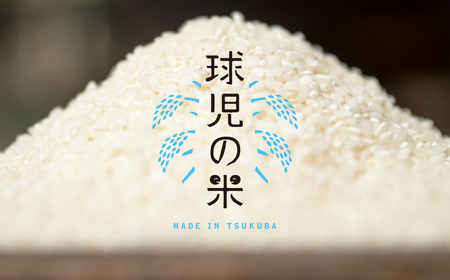 令和7年産 ミルキークイーン 玄米 30kg