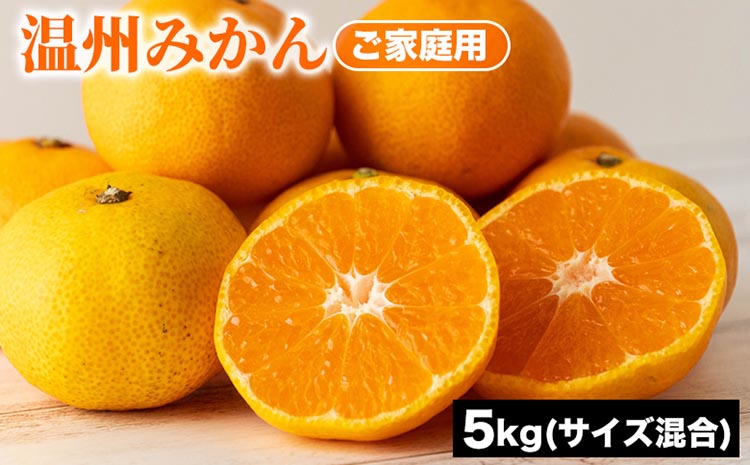 ご家庭用 温州みかん (サイズ混合) 5kg | みかん 柑橘 和歌山 ミカン 温州 家庭用 フルーツ 果物 5kg ※2025年10月下旬～12月下旬頃に順次発送予定