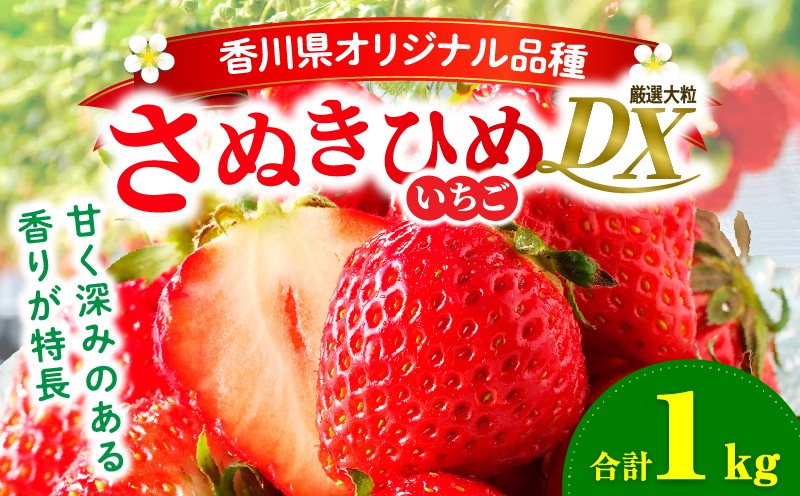 
                  【先行受付】【年内発送】三木町地域いちご部会「さぬきひめ」約1kgDXパック | スイーツ いちご ストロベリー イチゴ さぬき姫 さぬきひめ 苺 甘い 大粒 冷蔵 フルーツ 旬 果物 香川県 デザート 青果物 贈答 プレゼント 贈り物 おすすめ |_mk006-016
                
