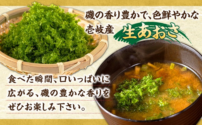 おすすめ オススメ こだわり ギフト 人気 特産品 贈り物 ギフト 海苔 あおさ