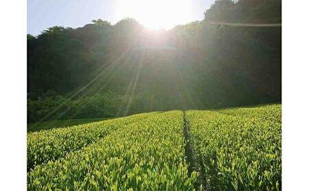お茶処静岡からお届け！【茶匠】が作る栽培農家の静岡茶■