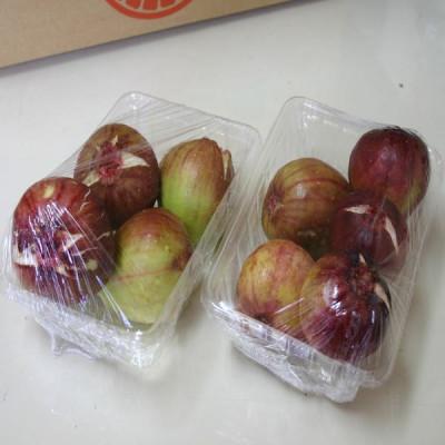 ふるさと納税 和歌山市 和歌山産 いちじく 秀品800g(400g ×2パック) |  | 01