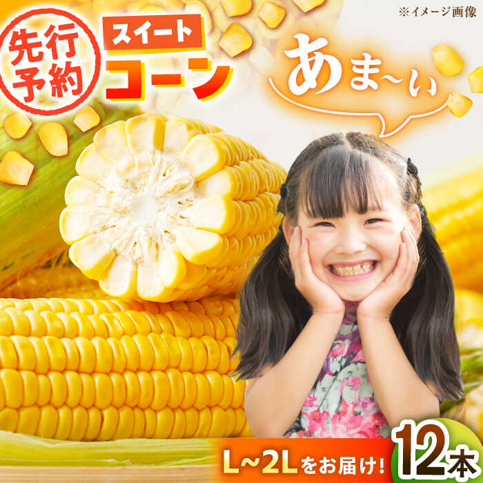 【ふるさと納税】【先行予約】【6月上旬より順次発送】あま〜いスイートコーン（L〜2Lサイズ）12本入り | 人気 おすすめ ランキング おいしい 大洲市/沢井青果有限会社[AGBN007] 10000 10000円 以上