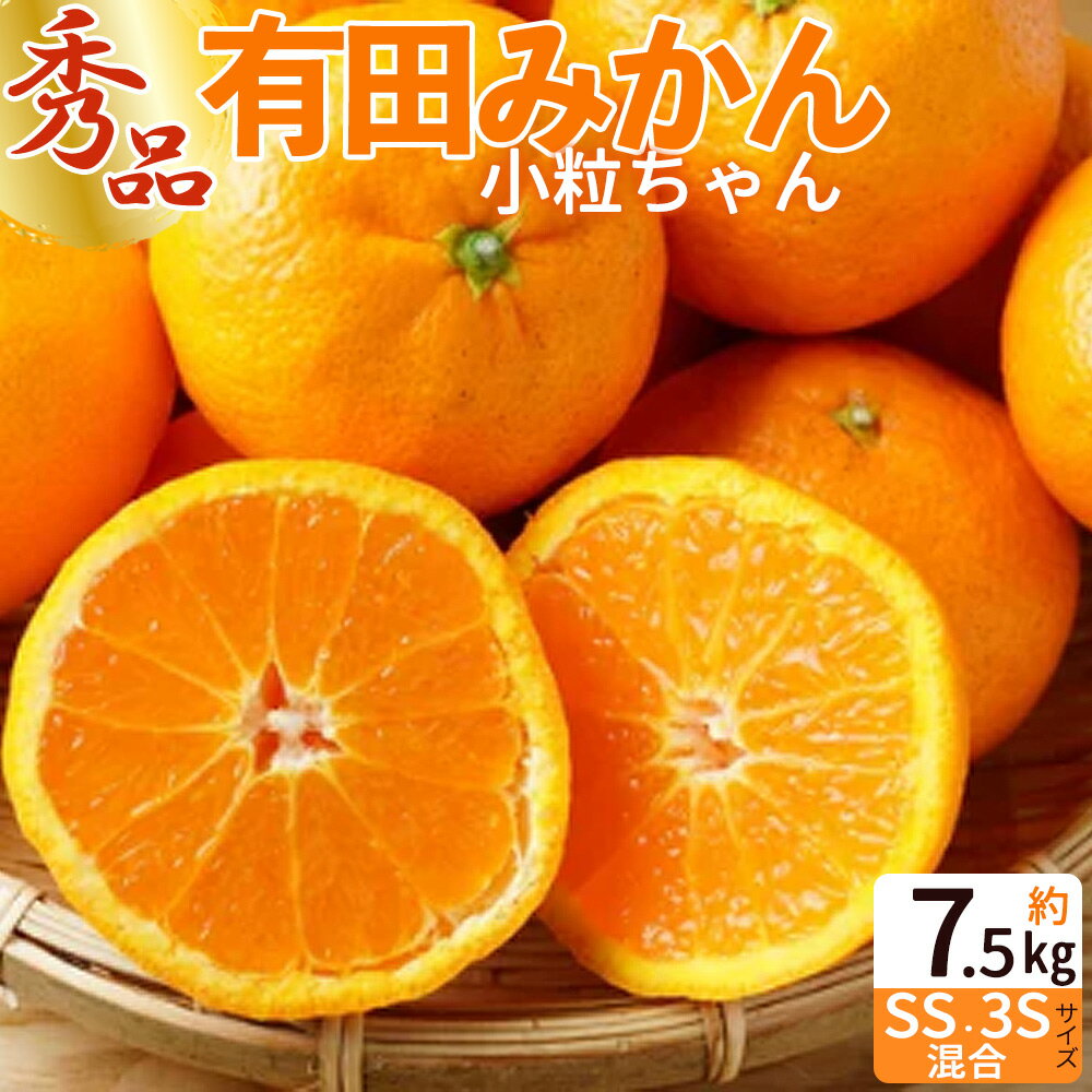 【ふるさと納税】【限定】有田みかん 小粒ちゃん 7.5kg【ミカン 蜜柑 柑橘 温州みかん 和歌山 有田】