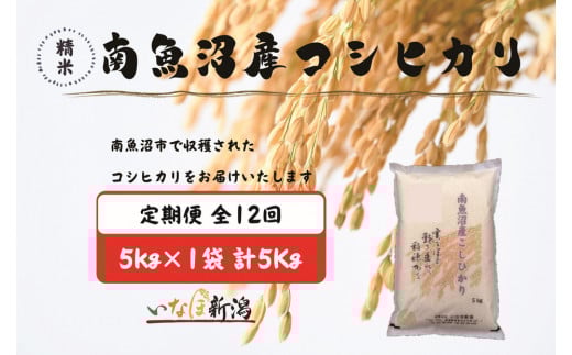 【令和7年産】【定期配送】南魚沼産コシヒカリ 白米 5kg 全12回【2025年10月上旬より順次発送予定】