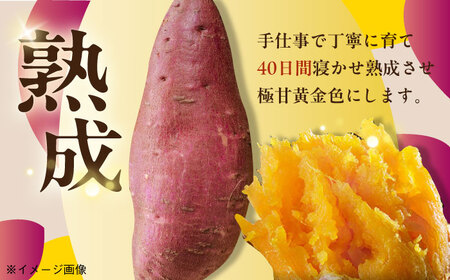 【全12回定期便】焼き芋ごとふわり (シルクスイート) 300g×6袋 サツマイモ おやつ 小分け さつまいも 芋 五島市/ごと[PBY038]