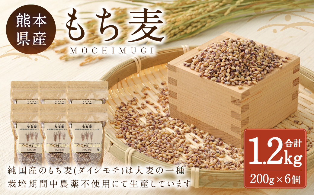 
もち麦 計1.2kg（ 200g×6個 ） 水俣市 もち麦工房
