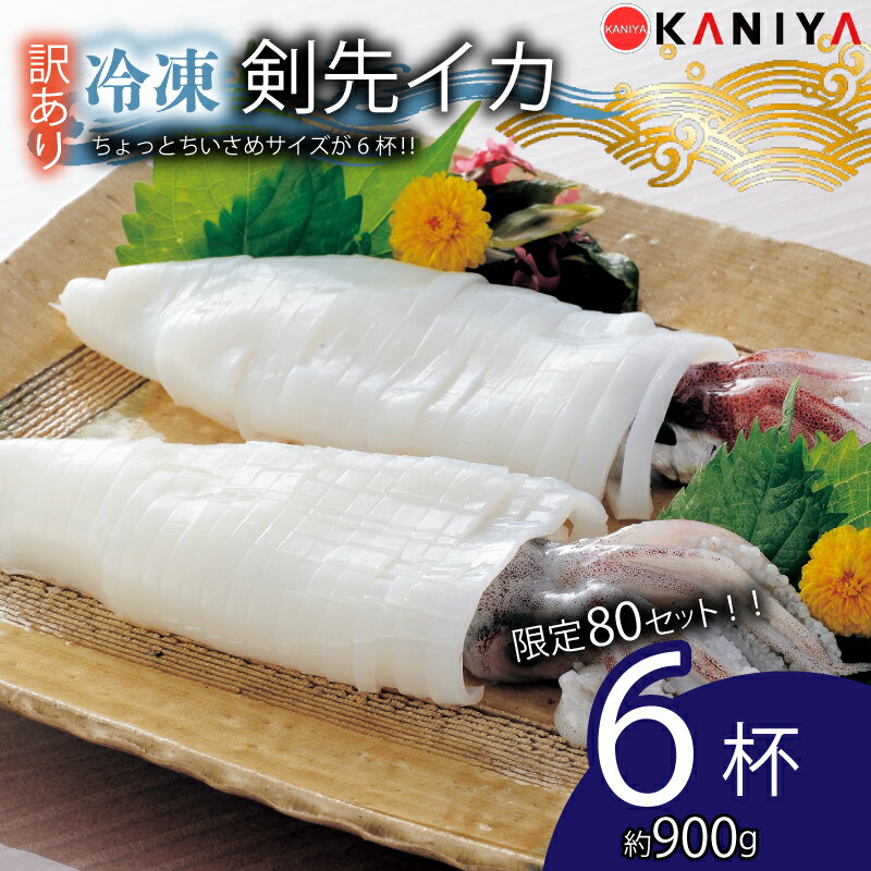 【ふるさと納税】 80セット限定！ 訳あり イカ 剣先イカ 約 900g 冷凍 いか 6杯 お刺身用 生食可能 ケンサキイカ おいしい 剣先いか 直送 CAS凍結 イカ 新鮮 海産物 山口県産 ご飯 蟹屋 KNY-KE02 下関 山口