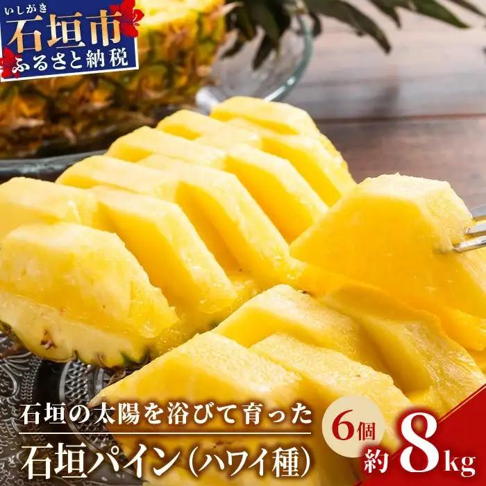 パイナップル 石垣パイン ハワイ種 6個セット