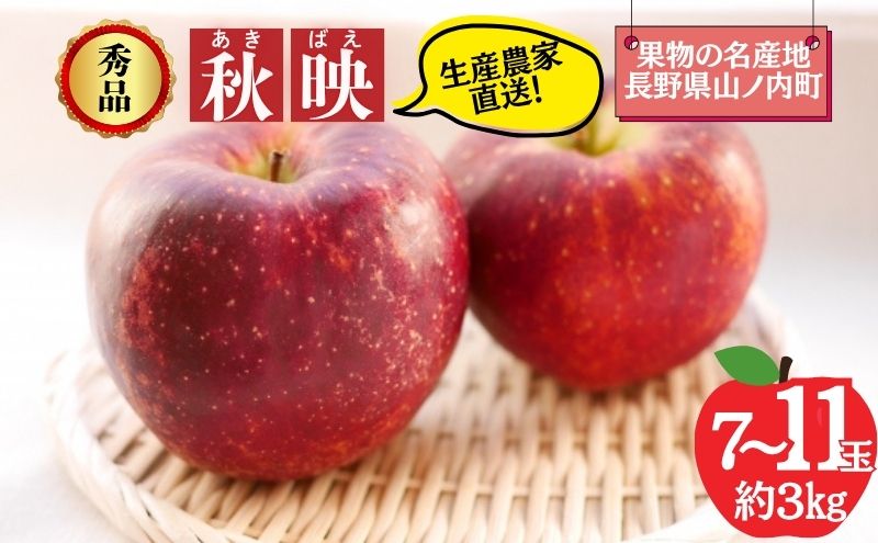 秋映 秀品 約3kg 7～11玉 りんご 果物 信州 長野