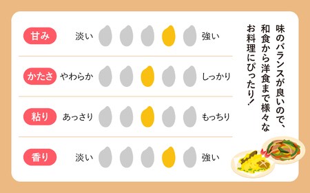 無洗米 ひとめぼれ 5kg 4回定期便  |  無洗
