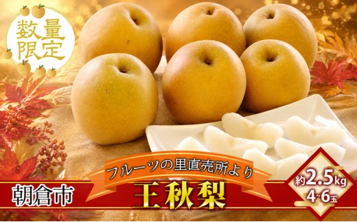
フルーツの里の直売所より 王秋梨 2.5kg
