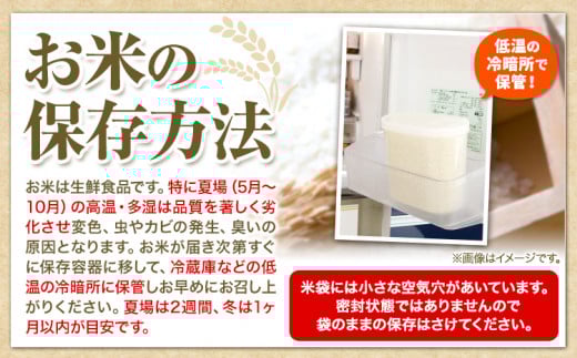 【2-8-49】令和6年度　当別産米食べ比べ10kg「ななつぼし・おぼろづき」