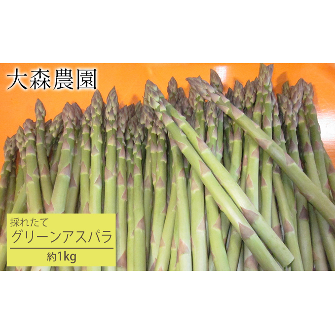 北海道 仁木町産 グリーンアスパラ 1kg 【大森農園】