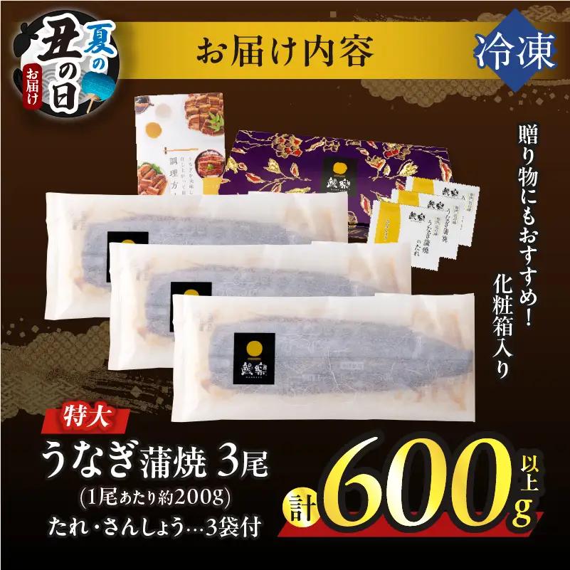 【夏の丑の日までにお届け!!】うなぎ蒲焼3尾(さんしょう・たれ付き)計600g以上 鰻 魚 魚介 加工品 国産_T026-0146-US2