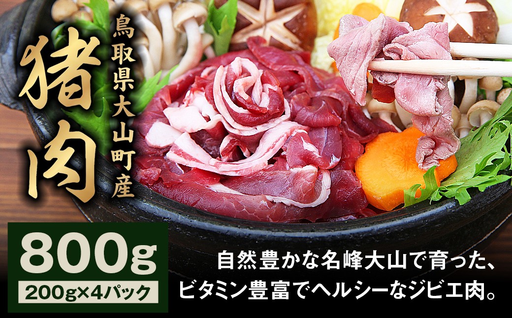 
                  GB-02 猪肉モモ 800g
                