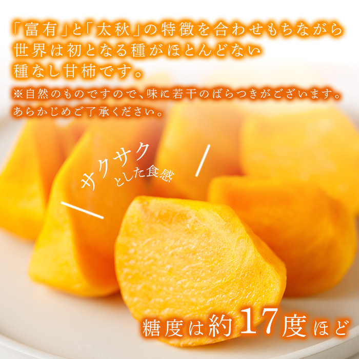 ＜先行予約受付中！2026年10月下旬～11月下旬に順次発送予定＞秋のフルーツの王様・ブランド柿 秋王 化粧箱入り (約計1.75kg・6個入り) かき カキ フルーツ 果物 くだもの 福岡限定 オリ