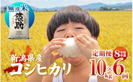 先行予約 令和8年産 無洗米 コシヒカリ 定期便 10kg 6回 60kg 特別栽培米 コンテスト 入賞 【 6か月 コンテスト 入賞米 米 おこめ お米 ブランド米 ご飯 ごはん オニギリ お弁当 kome 送料無料 数量限定 農家直送 産地直送 国産 川瀬農園 四代目 悠助 新潟 新発田 kwsMKH007_202609  】　