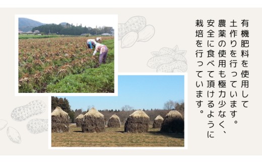 訳あり お徳用 茨城県産 生落花生 合計920g (230g×4袋)簡易包装 ご自宅用 ピーナッツ 落花生 ナッツ 小分け 豆 おつまみ [BB011sa]